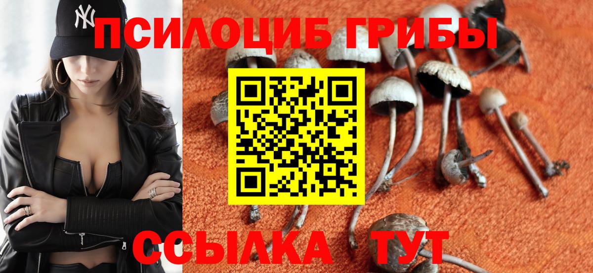 Галлюциногенные грибы GOLDEN TEACHER  Вход с VPN  Кумертау  Псилоцибиновые грибы GOLDEN TEACHER 